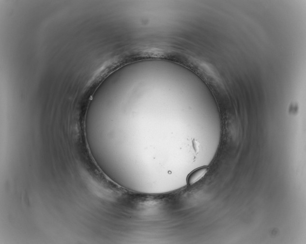 X0000091660312200709061026