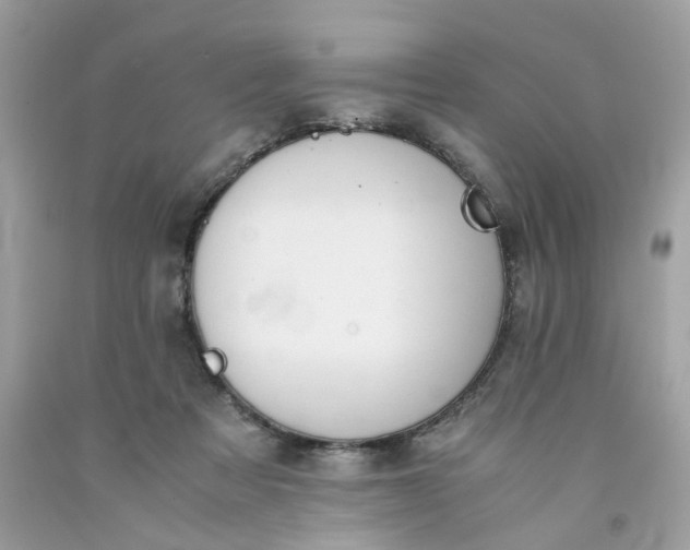 X0000091660313200709061026