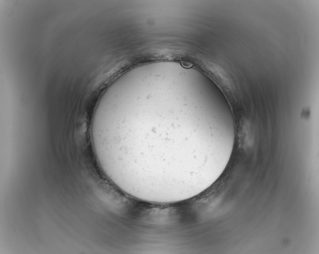 X0000091660314200709061026