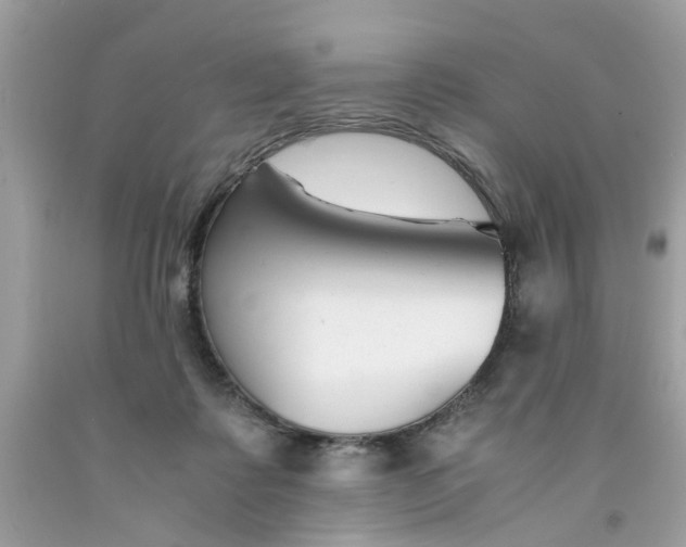 X0000091660315200709061026