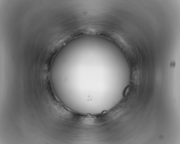 X0000091660318200709061026