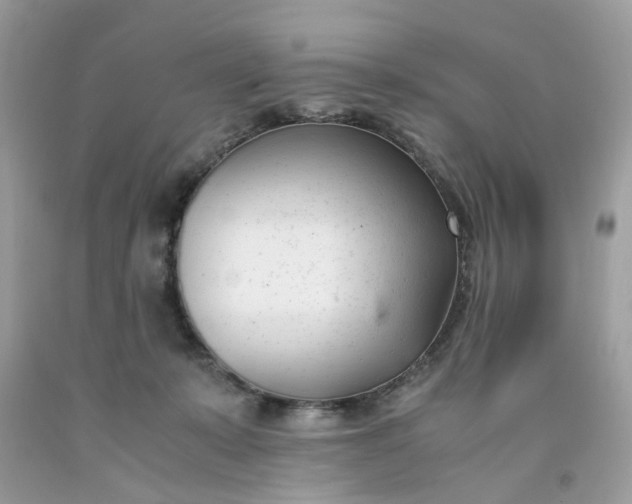 X0000091660319200709061026