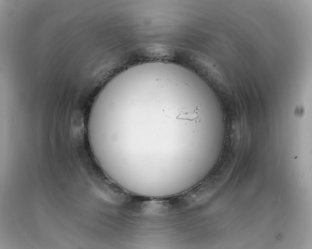 X0000091660320200709061026