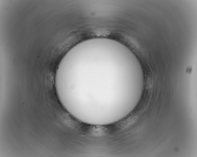 X0000091660321200709061026