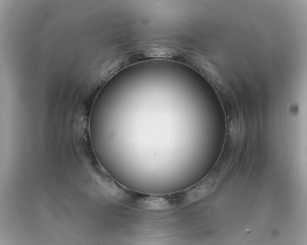 X0000091660322200709061026