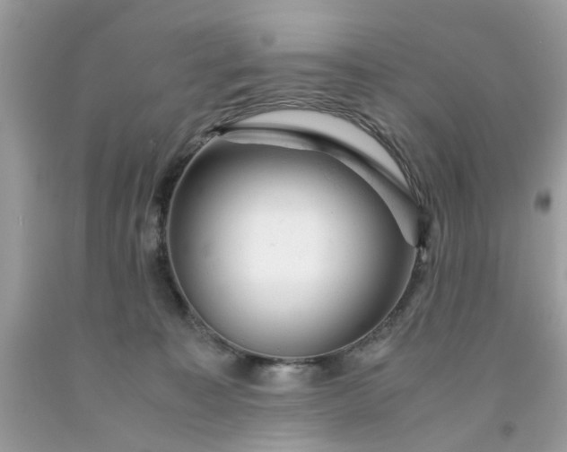 X0000091660323200709061026