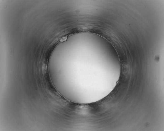 X0000091660324200709061026