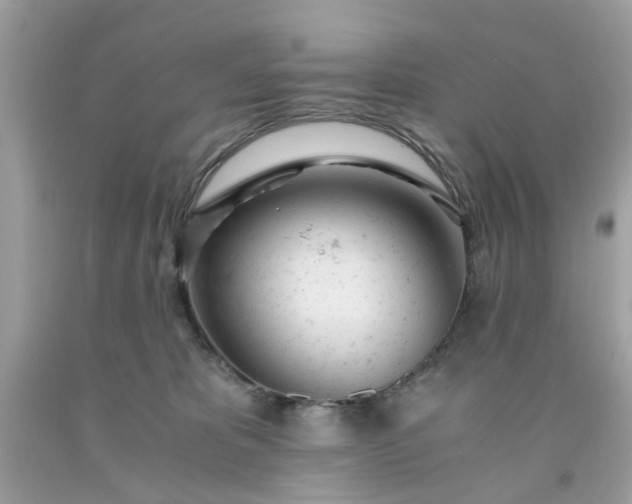 X0000091660325200709061026