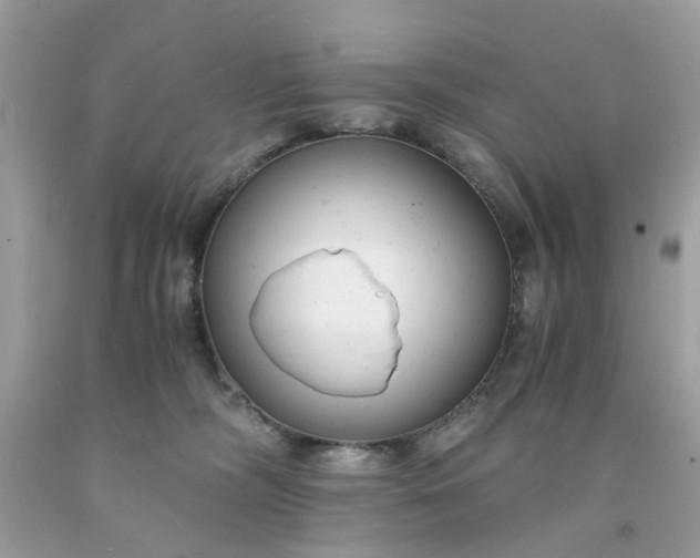 X0000091660326200709061026