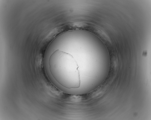 X0000091660328200709061026