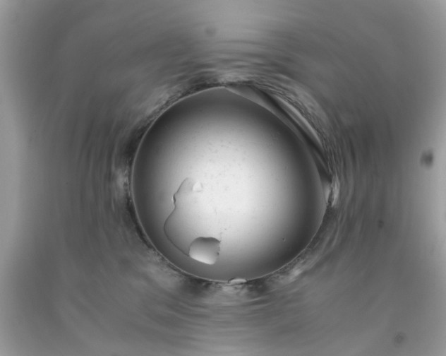 X0000091660329200709061026