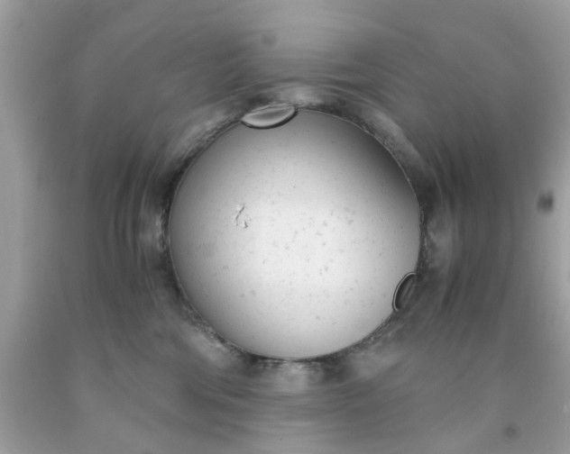 X0000091660330200709061026