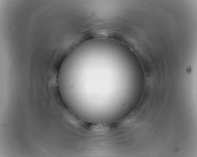 X0000091660331200709061026