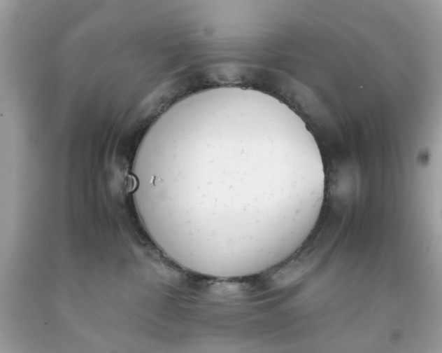 X0000091660332200709061026