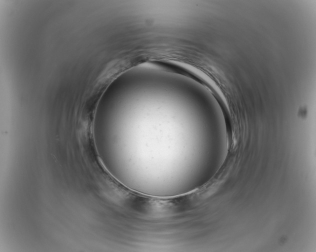 X0000091660333200709061026