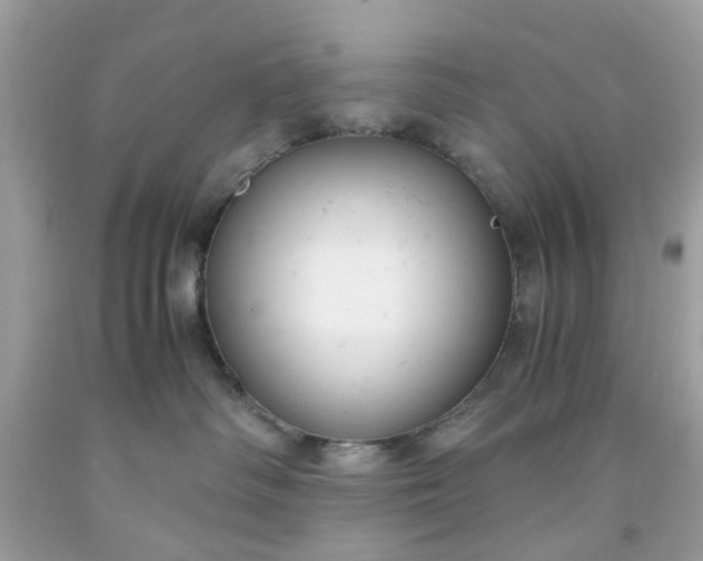 X0000091660334200709061026