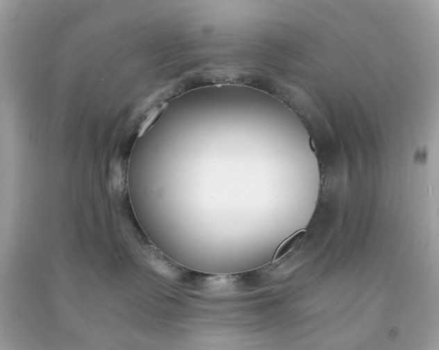 X0000091660335200709061026