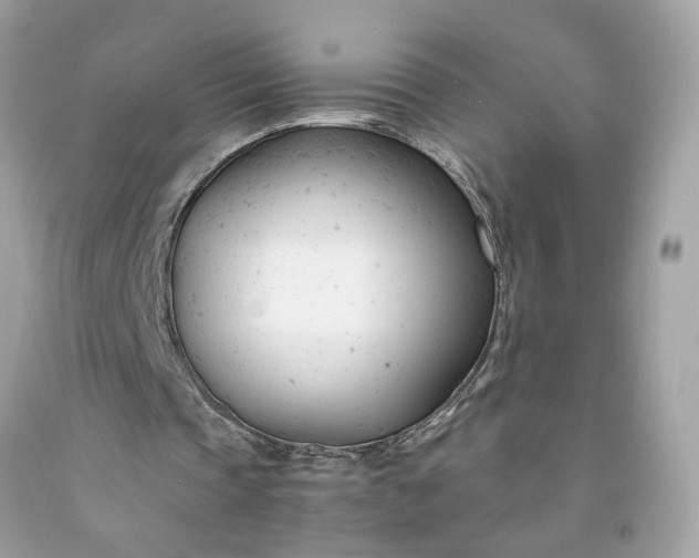 X0000091660337200709061025