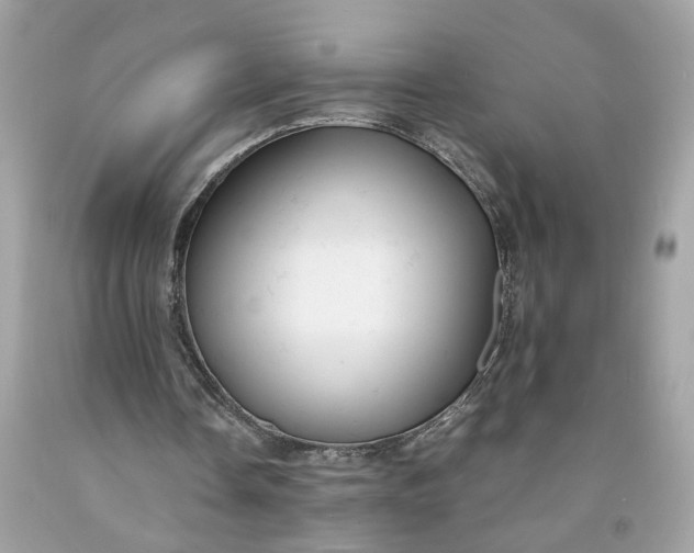 X0000091660338200709061025