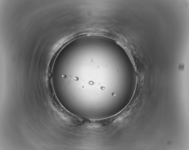 X0000091660340200709061025