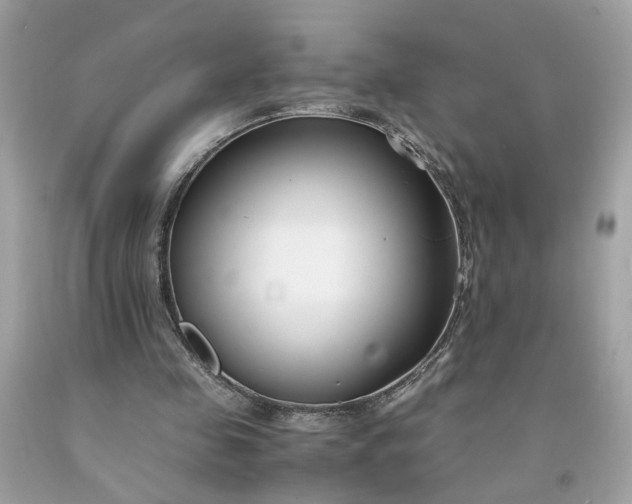 X0000091660341200709061025