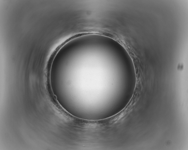 X0000091660342200709061025