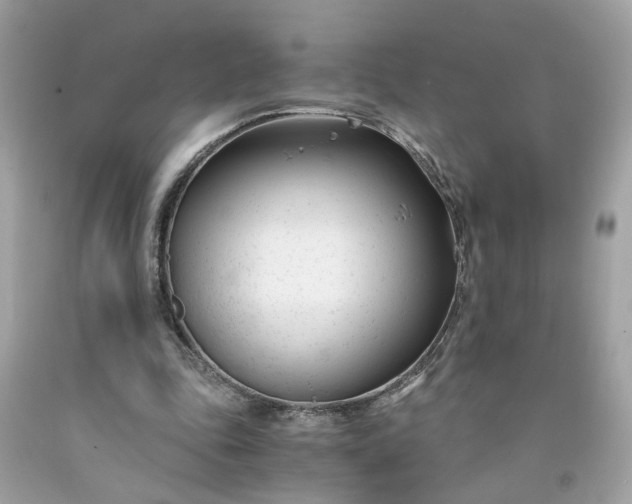 X0000091660343200709061025