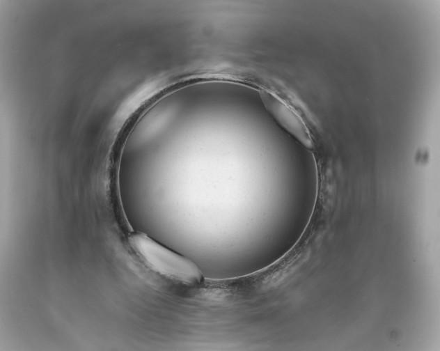 X0000091660344200709061025