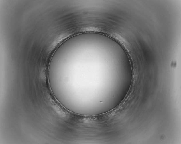 X0000091660345200709061025