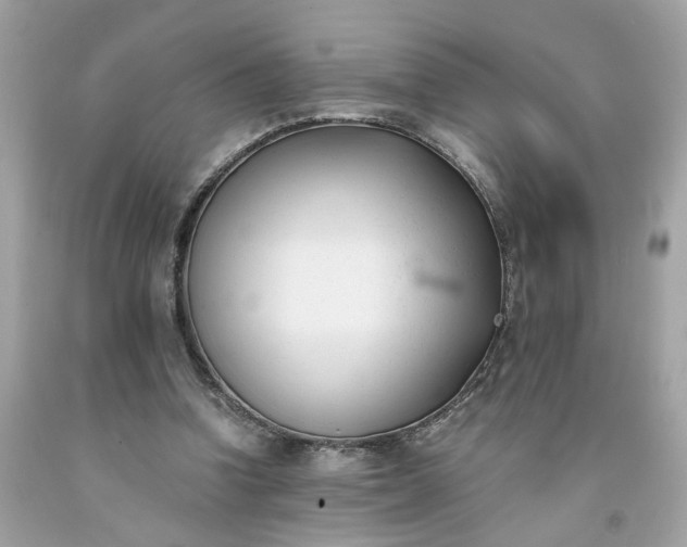 X0000091660346200709061025