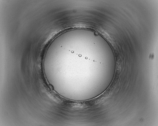 X0000091660347200709061025