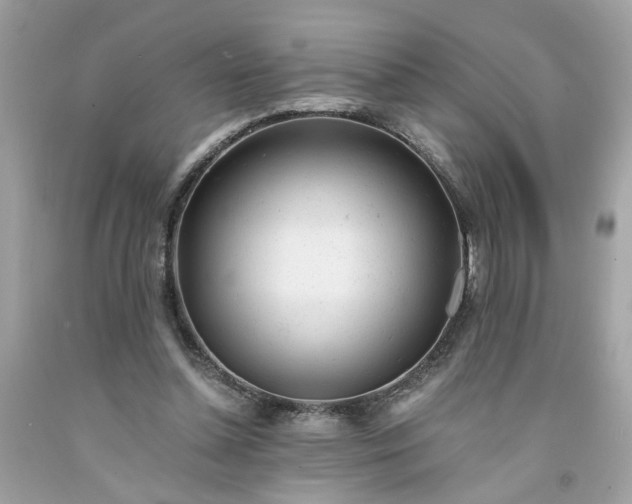 X0000091660348200709061025