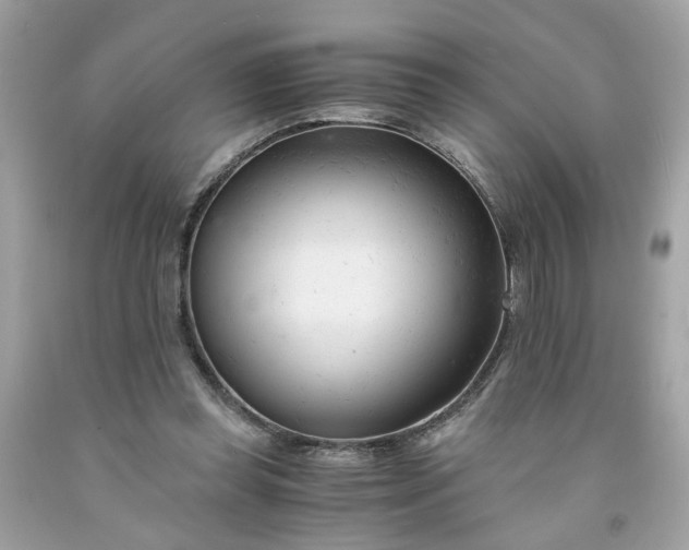 X0000091660349200709061025