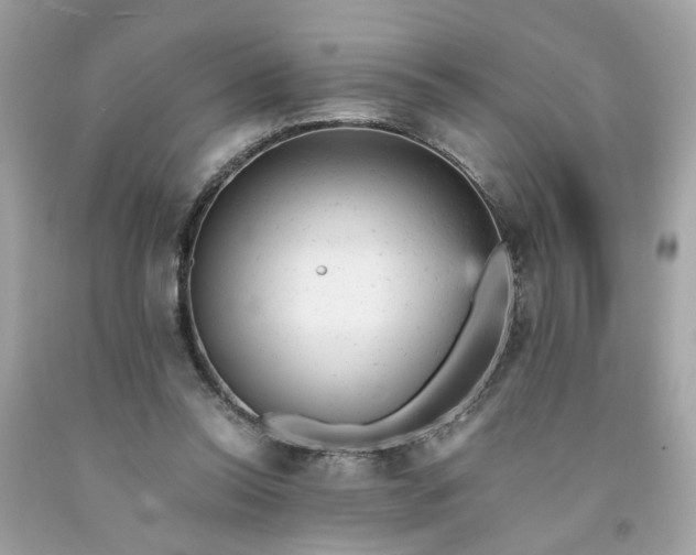 X0000091660350200709061025