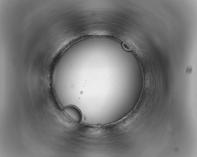 X0000091660351200709061025