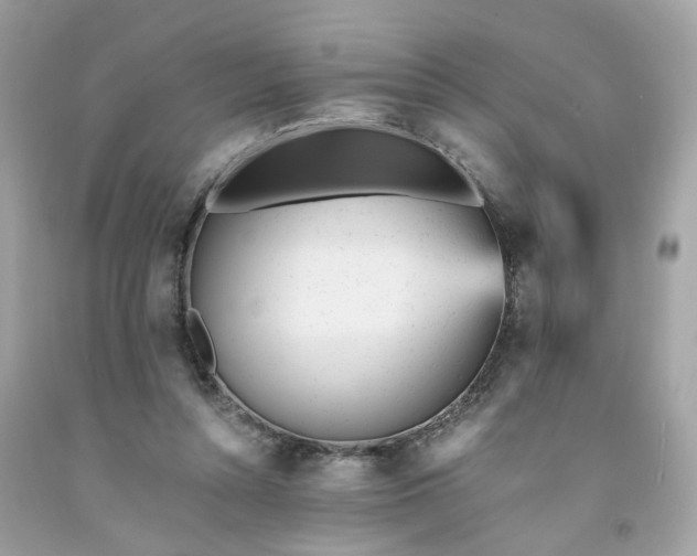 X0000091660352200709061025