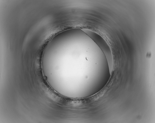 X0000091660353200709061025