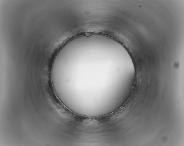 X0000091660354200709061025