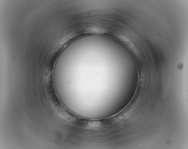 X0000091660355200709061025