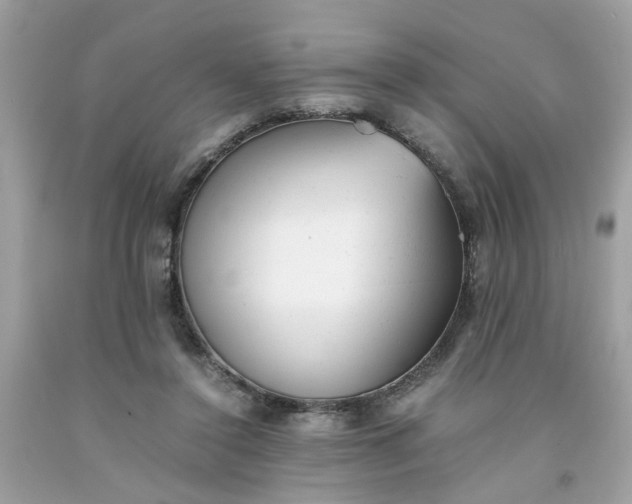 X0000091660356200709061025