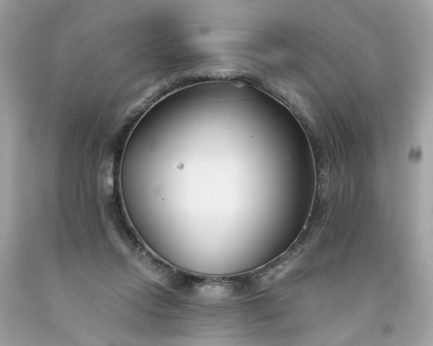 X0000091660358200709061025