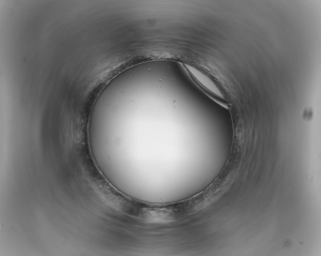 X0000091660359200709061025