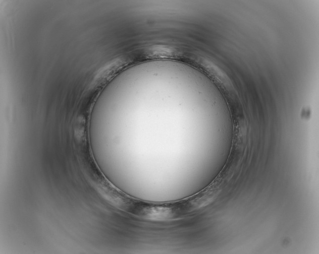 X0000091660361200709061025