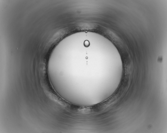 X0000091660362200709061025