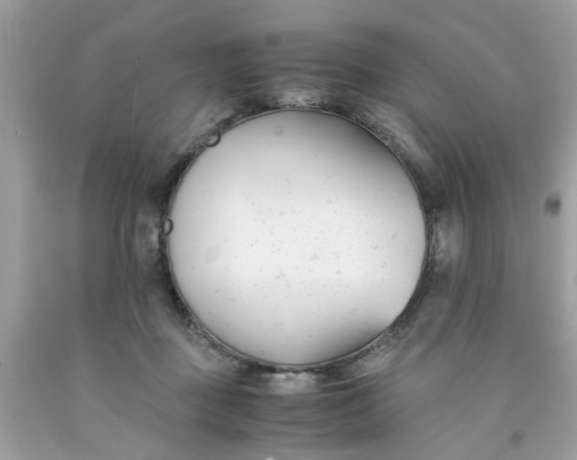 X0000091660363200709061025