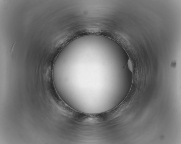 X0000091660364200709061026