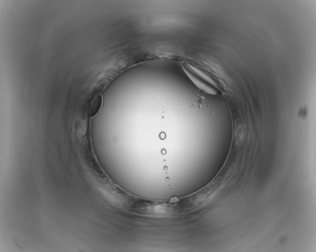 X0000091660365200709061026