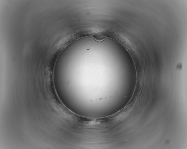 X0000091660366200709061026