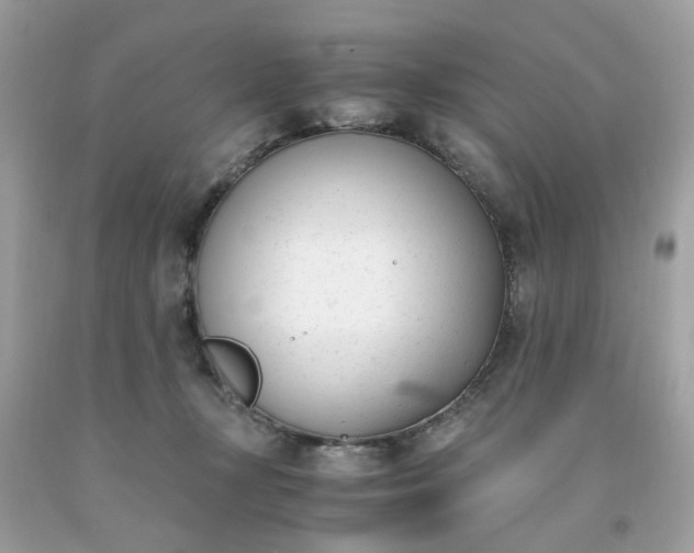 X0000091660367200709061026