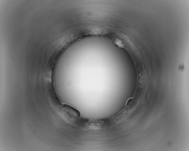 X0000091660368200709061026